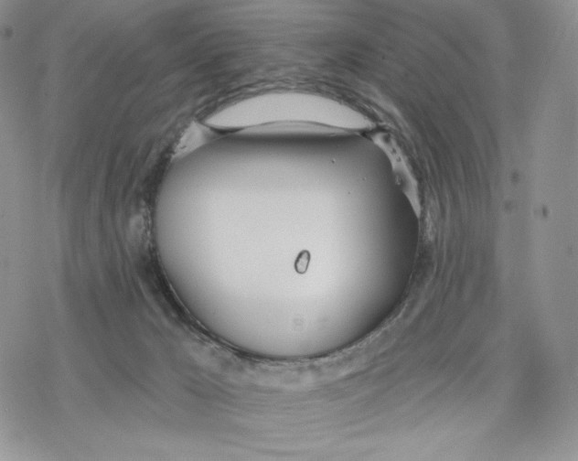 X0000078270029200611251404