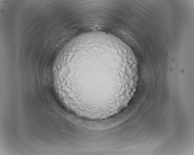 X0000078270030200611251404