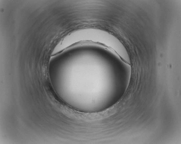 X0000078270031200611251404