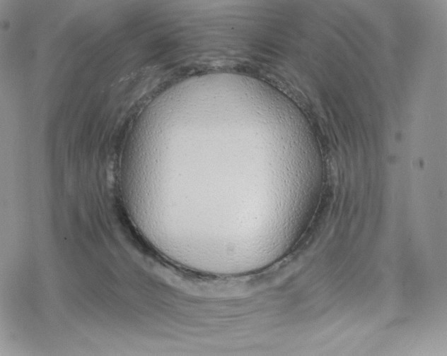 X0000078270032200611251404