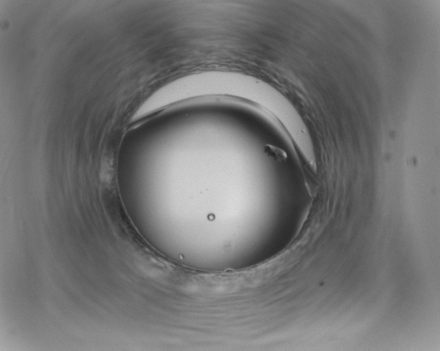 X0000078270033200611251404