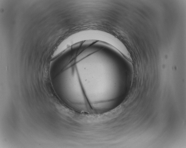 X0000078270037200611251404