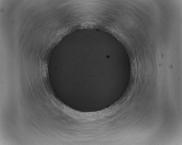 X0000078270038200611251404