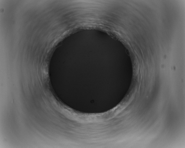 X0000078270040200611251404