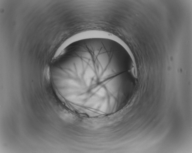 X0000078270041200611251404