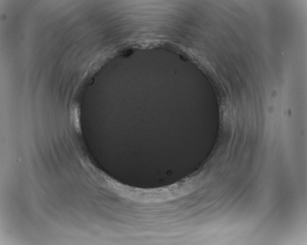 X0000078270042200611251404