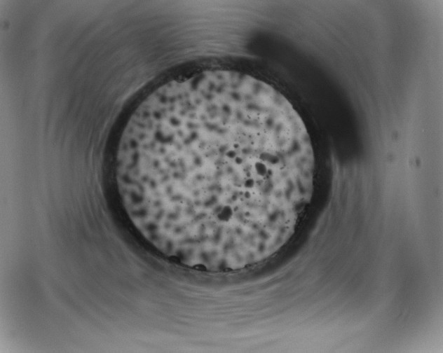 X0000078270043200611251404