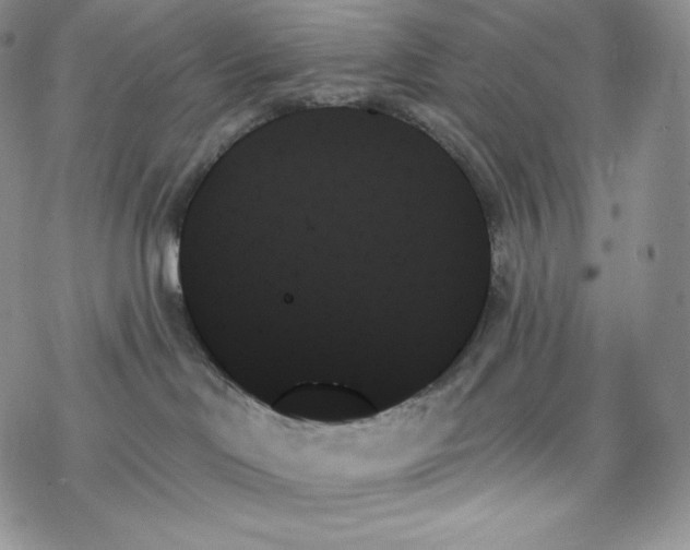 X0000078270046200611251404