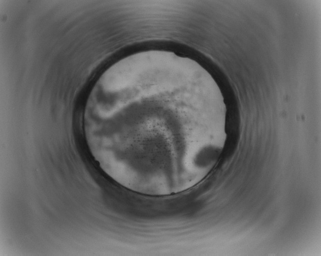 X0000078270047200611251404