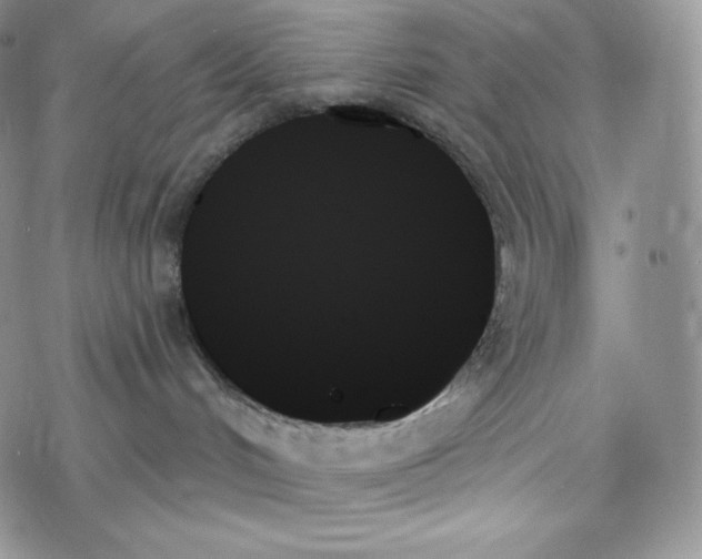 X0000078270048200611251404