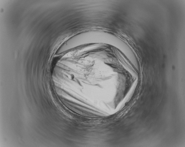 X0000078270049200611251403