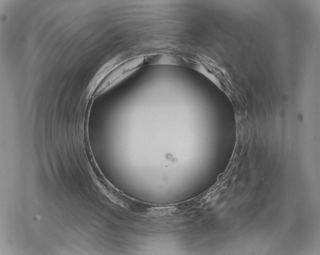 X0000078270051200611251403