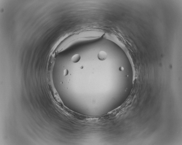 X0000078270052200611251403