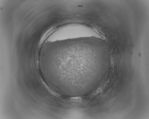 X0000078270053200611251403