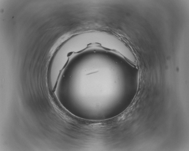 X0000078270054200611251403