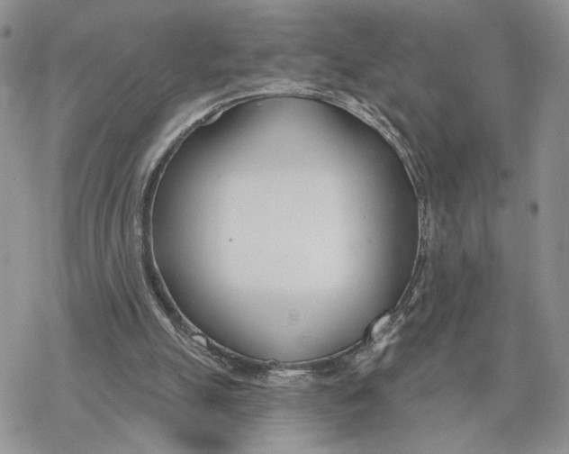 X0000078270055200611251403