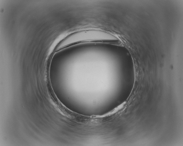 X0000078270056200611251403