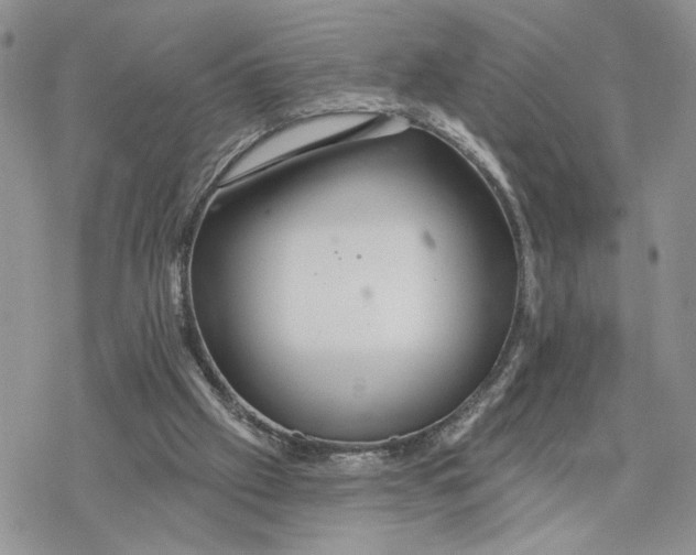 X0000078270057200611251403