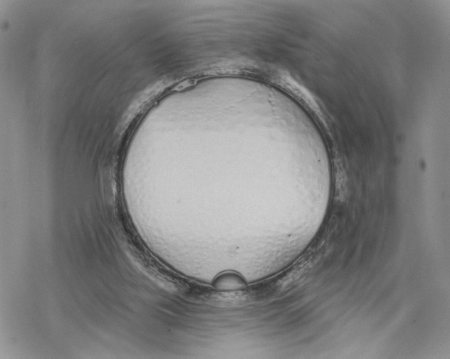 X0000078270059200611251403