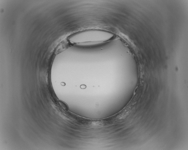 X0000078270060200611251403