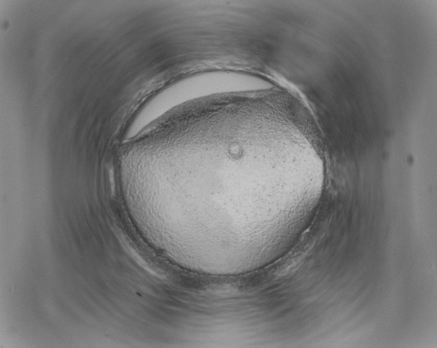 X0000078270061200611251403