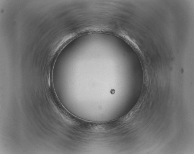 X0000078270062200611251403