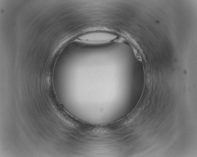 X0000078270063200611251403