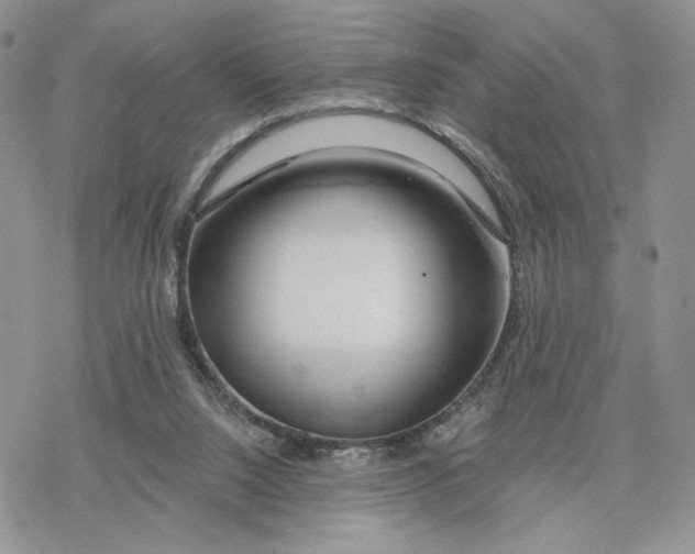 X0000078270064200611251403