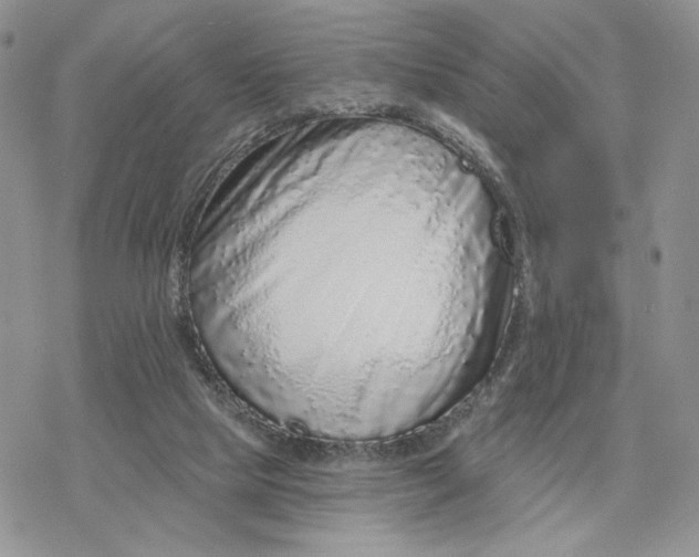 X0000078270065200611251403