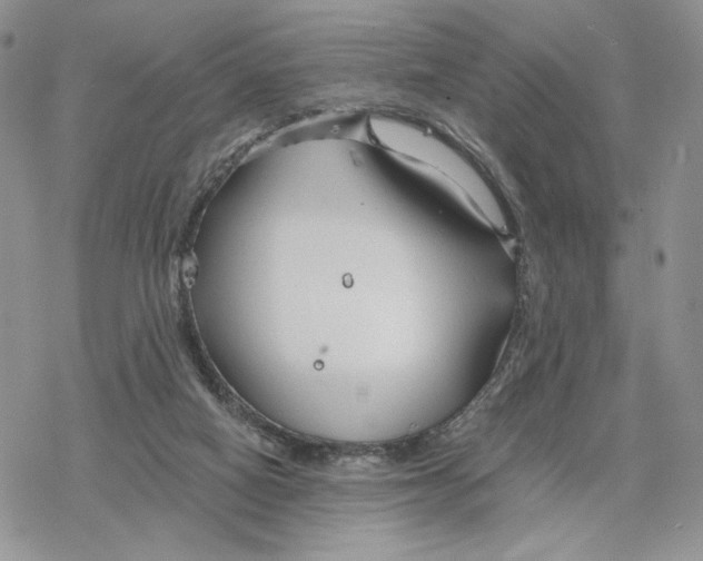 X0000078270066200611251403