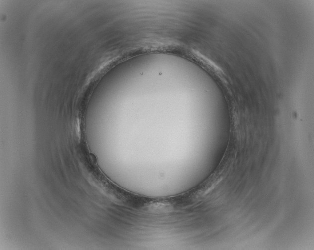 X0000078270067200611251404