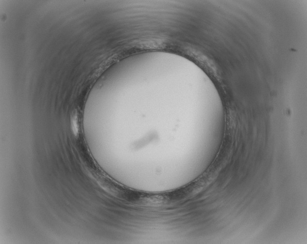 X0000078270069200611251404