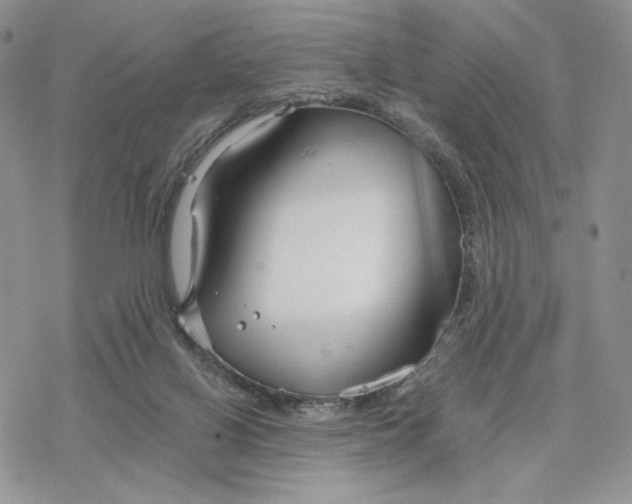 X0000078270070200611251404