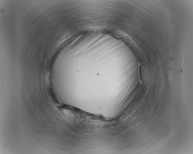 X0000078270071200611251404