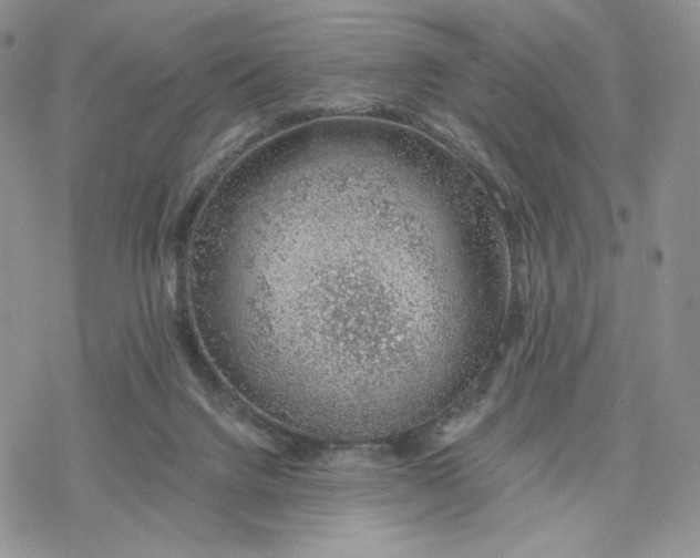 X0000078270072200611251404