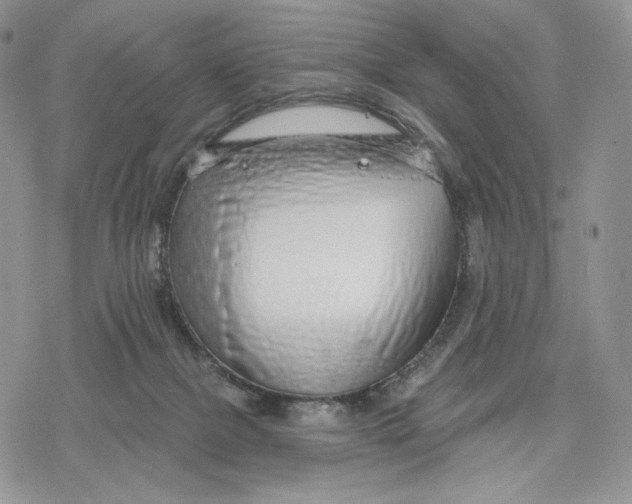 X0000078270073200611251404