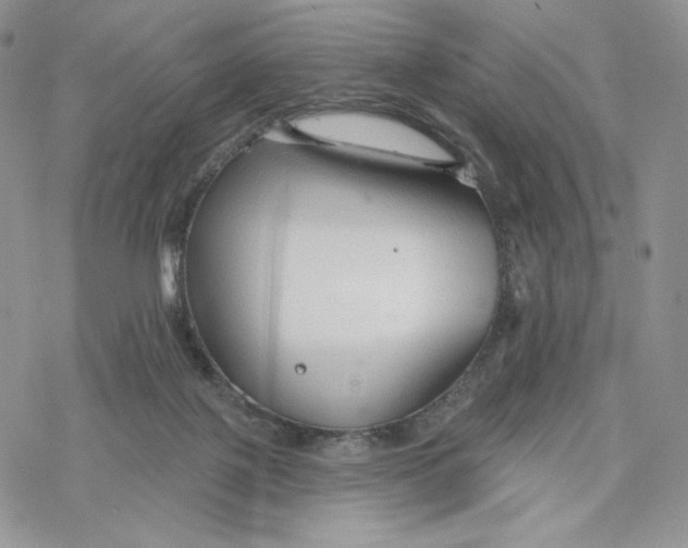 X0000078270075200611251404