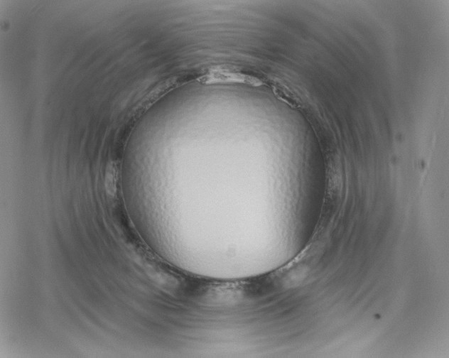 X0000078270078200611251404