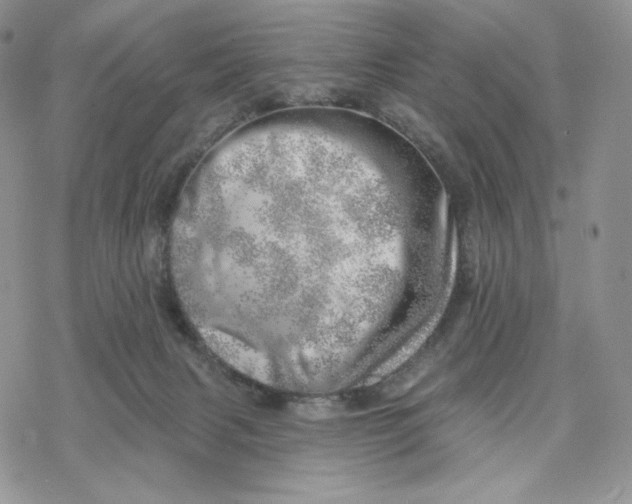 X0000078270079200611251404