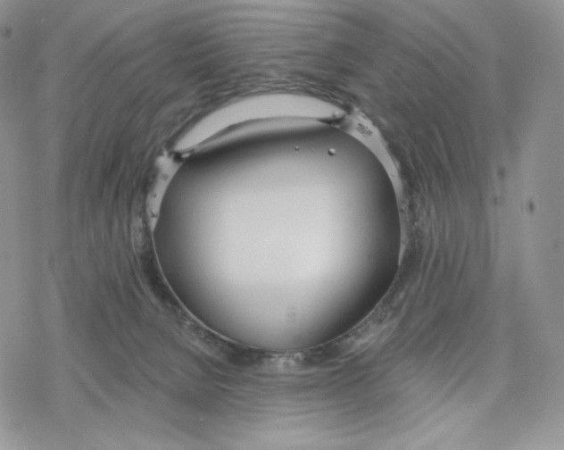 X0000078270080200611251404