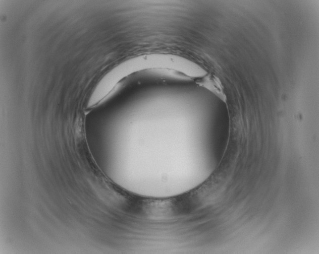 X0000078270081200611251404