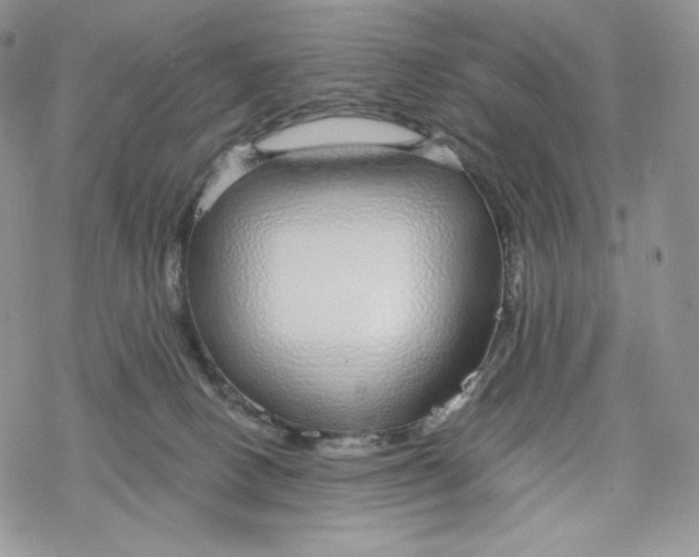 X0000078270082200611251404