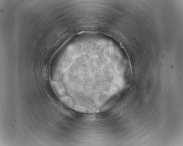 X0000078270083200611251404