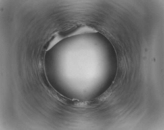 X0000078270084200611251404