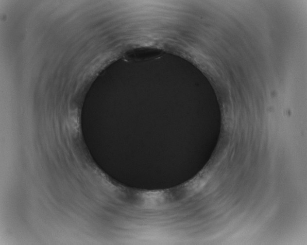 X0000078270085200611251404