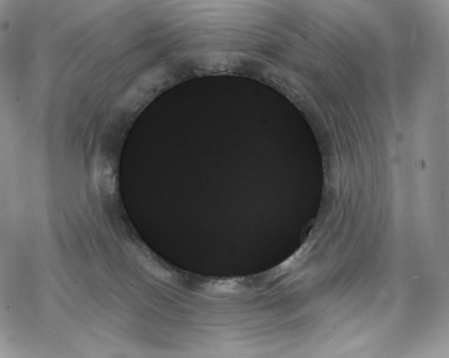 X0000078270086200611251404