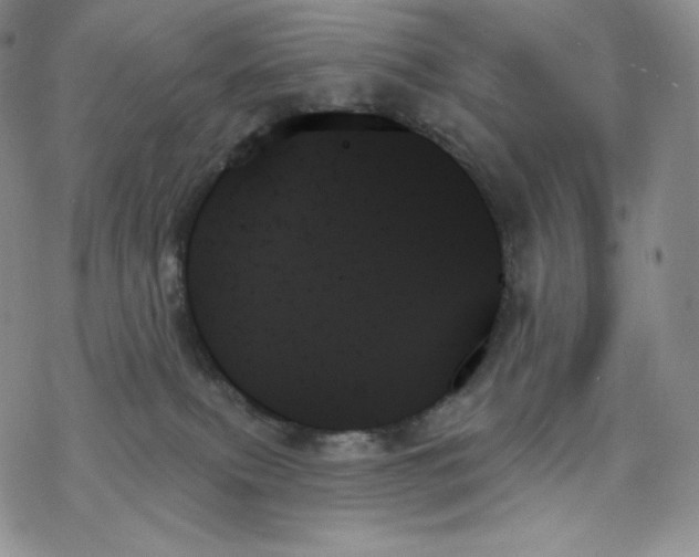 X0000078270087200611251404