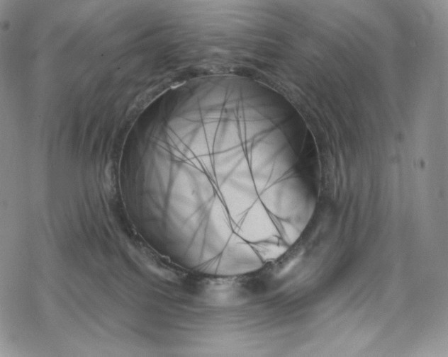 X0000078270088200611251404