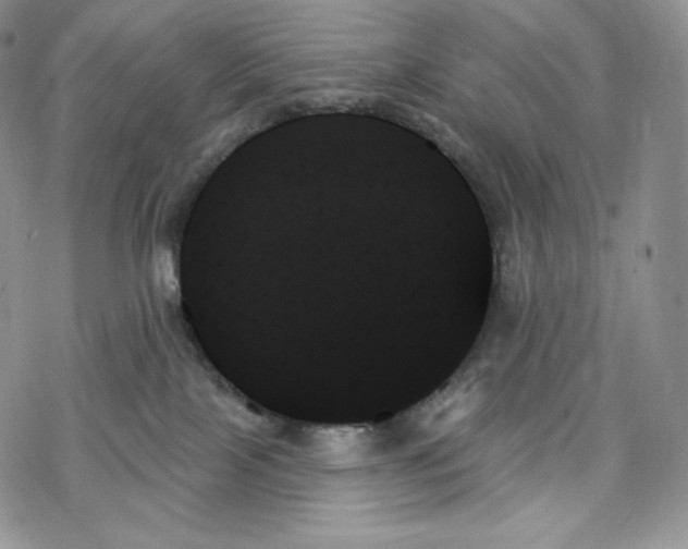 X0000078270089200611251404