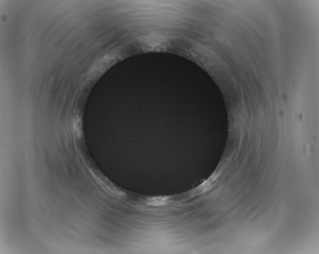 X0000078270090200611251404